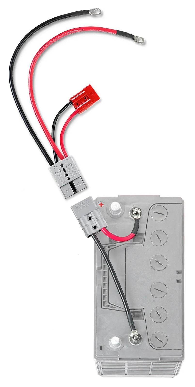 Outboard Motor Connection with Auxiliary Connector (RCE12VBM6K) Lithium Compatible